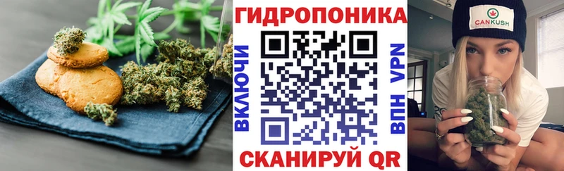 Купить  Брюховецкая  Canna-Cookies конопля 